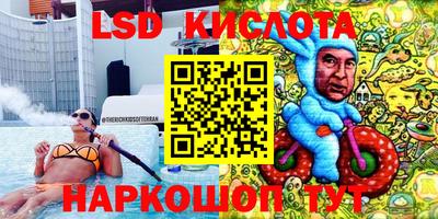 СК Бийск