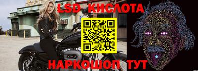 СК Бийск