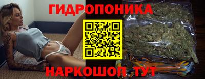 стаф Берёзовский