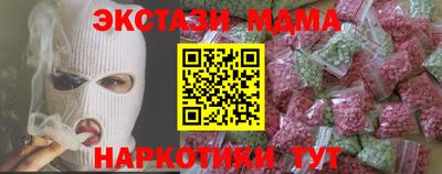 СК Бийск