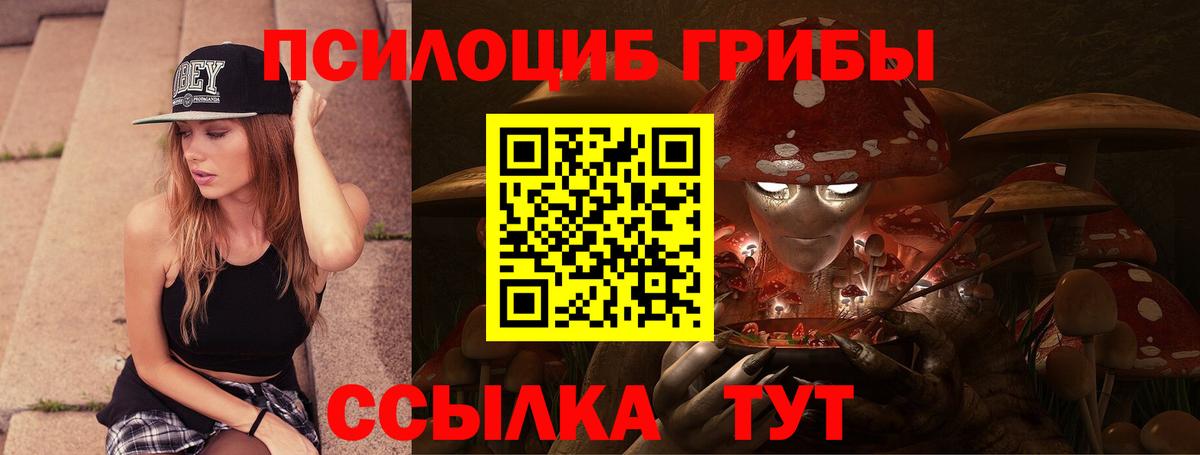 Карпинск  где продают наркотики  Вход с VPN  Галлюциногенные грибы мицелий 